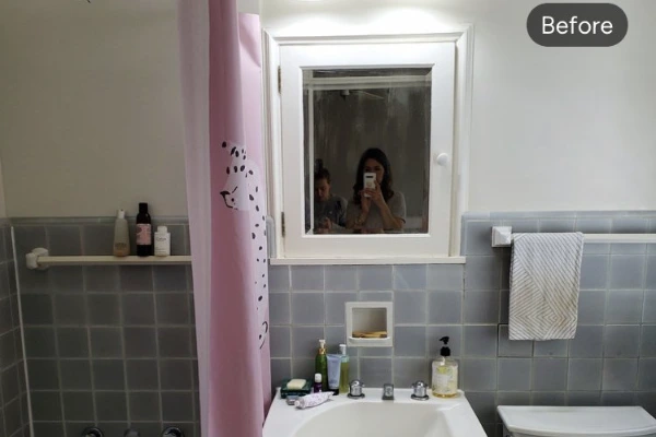 Professional construction services